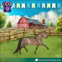 Horse Color:White Spotted Liver Red Dun Rabicano