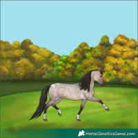 Horse Color:Bay Roan Dun Tobiano