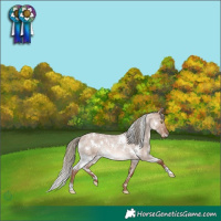 Horse Color:White Spotted Red Dun Roan Mushroom Rabicano 