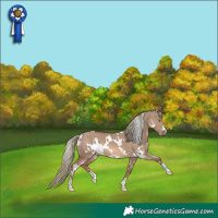 Horse Color:White Spotted Red Dun Mushroom 