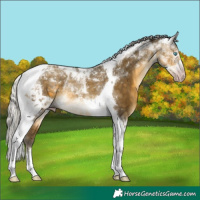 Horse Color:Gray Silver Sable Cream Champagne Tobiano Rabicano