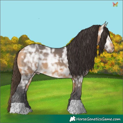 Horse Color:Buckskin Ice 