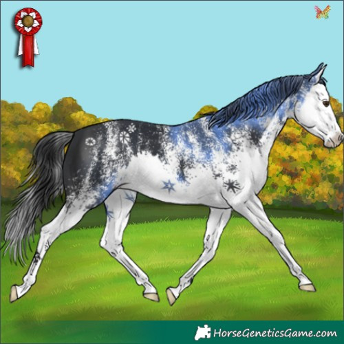Horse Color:White Spotted Black Splash 
