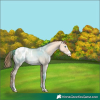 Horse Color:Chocolate Sable Champagne Pearl Dun Blanket Rabicano 