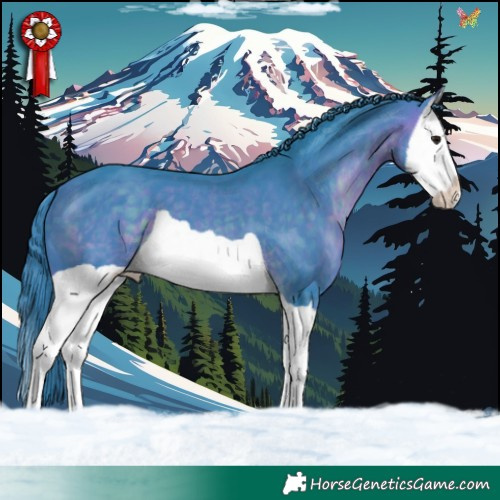 Horse Color:Watercolor Brown Splash 