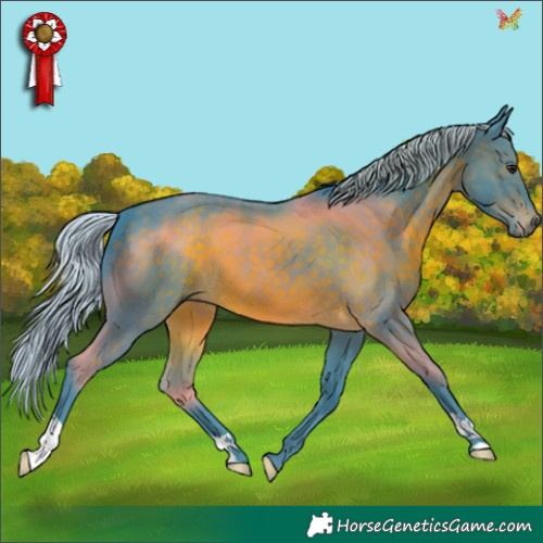 Horse Color:Watercolor Silver Brown 