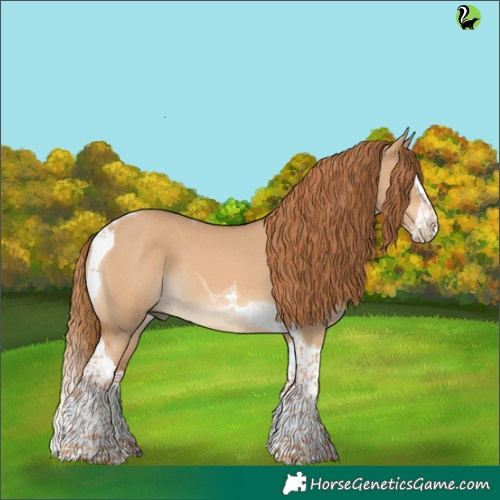 Horse Color:Red Dun Splash Tobiano 