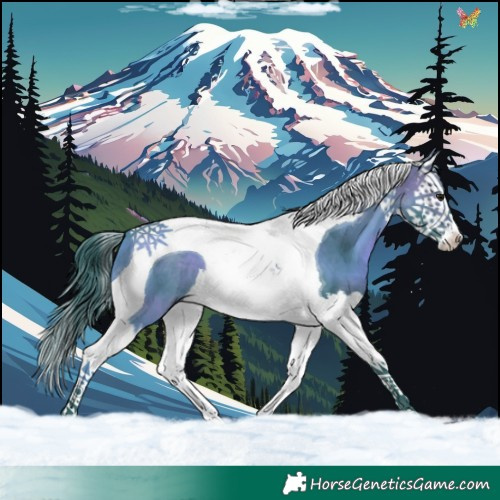 Horse Color:Watercolor Brown Splash Tobiano 