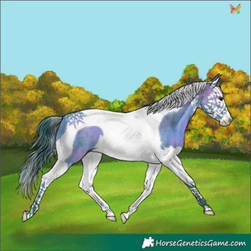 Horse Color:Watercolor Brown Splash Tobiano 