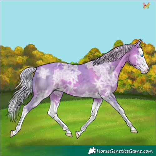 Horse Color:Watercolor Chocolate Silver Bay Ice Dun Splash 