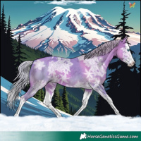 Horse Color:Watercolor Chocolate Silver Bay Ice Dun Splash 