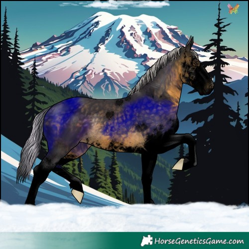 Horse Color:Void Silver Buckskin Splash 