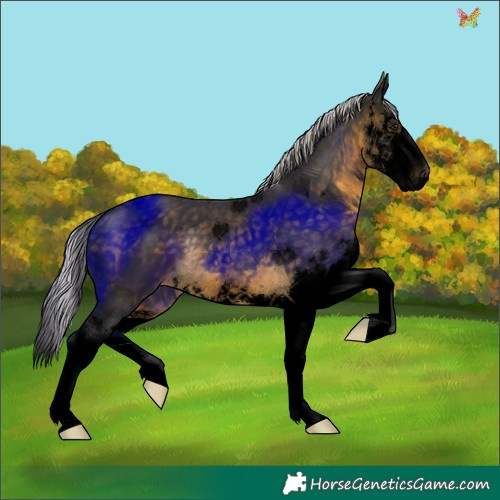 Horse Color:Void Silver Buckskin Splash 
