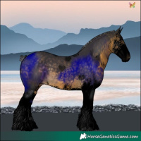 Horse Color:Void Silver Buckskin Splash 