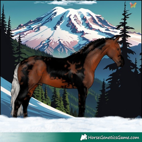 Horse Color:Void Silver Brown Tobiano 