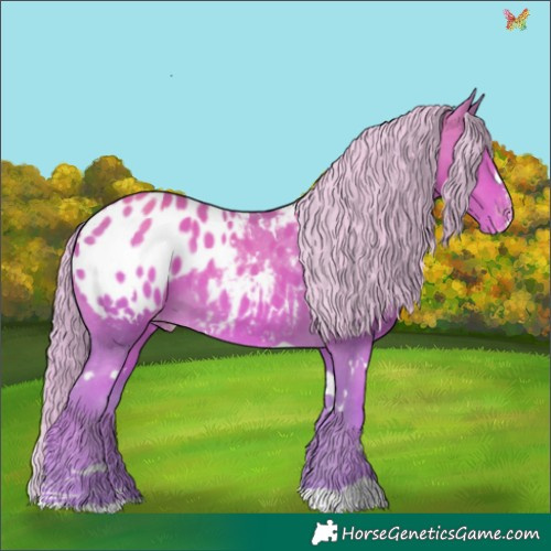 Horse Color:Watercolor White Spotted Gold Cream Champagne Appaloosa 