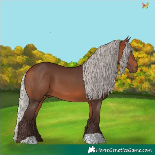 Horse Color:Silver Bay 