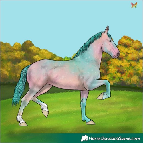 Horse Color:Watercolor Bay 