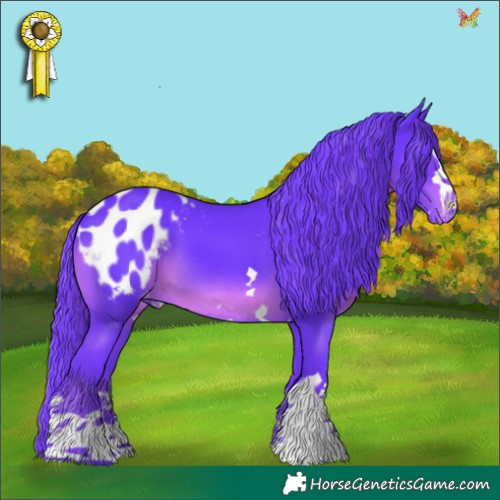 Horse Color:Watercolor Smoky Black Appaloosa 