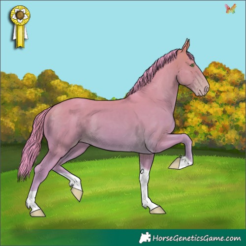 Horse Color:Watercolor Sable Cream Champagne Tobiano 