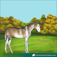 Horse Color:White Spotted Silver Buckskin Dun Splash Brindle