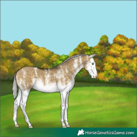 Horse Color:White Spotted Silver Buckskin Dun Splash Brindle 