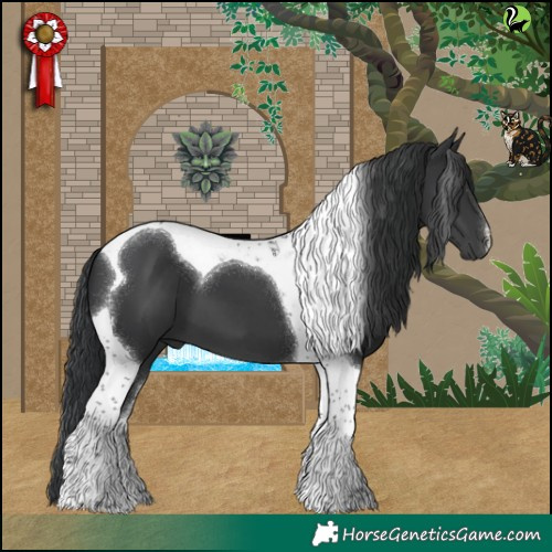 Horse Color:Black Tobiano 