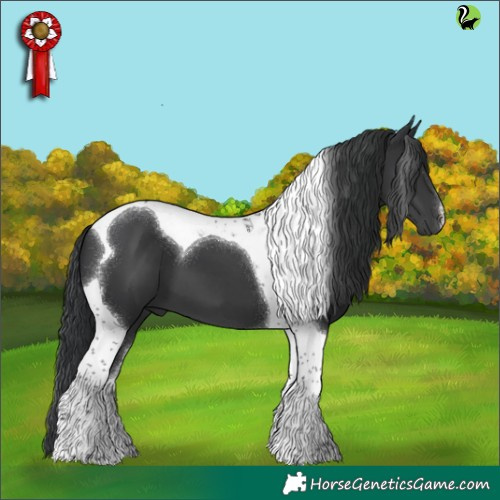 Horse Color:Black Tobiano 