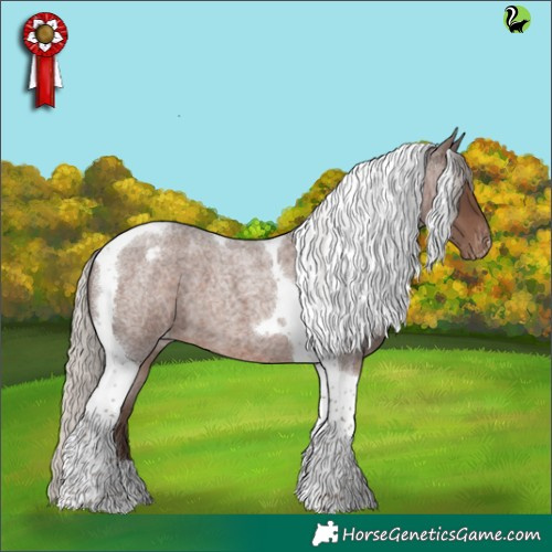 Horse Color:Silver Blue Roan Tobiano Appaloosa 