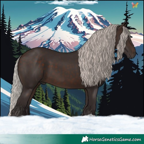Horse Color:Silver Brown 