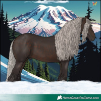 Horse Color:Silver Brown
