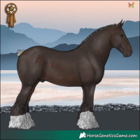 Horse Color:Silver Brown 