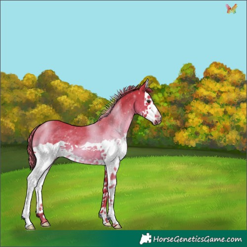 Horse Color:Watercolor Liver Chestnut Splash 
