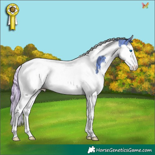 Horse Color:Watercolor Black Ice Splash Tobiano 