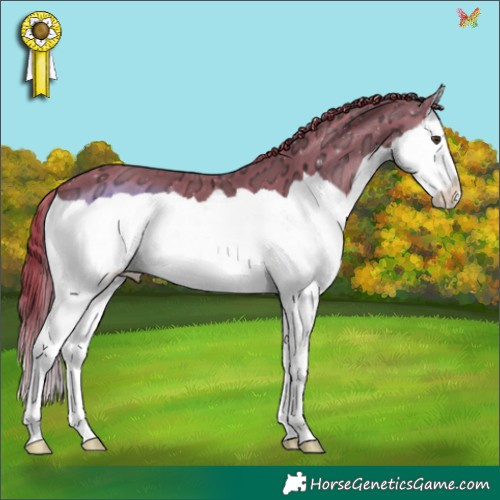 Horse Color:Watercolor Liver Chestnut Ice Splash 