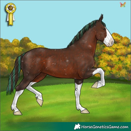 Horse Color:Painted Liver Chestnut Splash 
