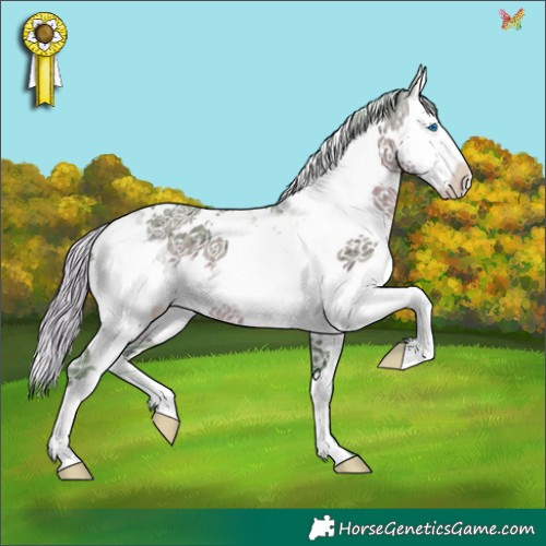 Horse Color:Watercolor Silver Smoky Grullo Ice Splash Tobiano 