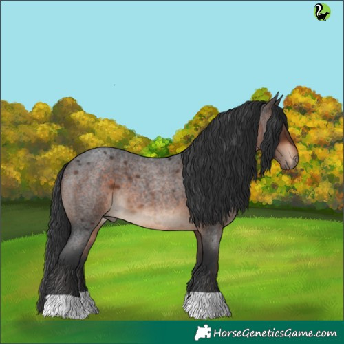 Horse Color:Brown Roan 