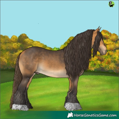 Horse Color:Buckskin 