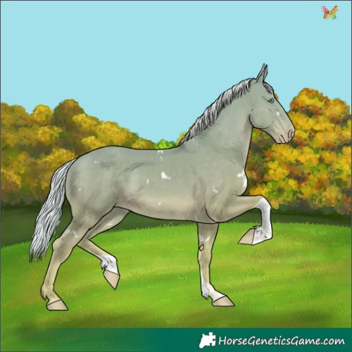 Horse Color:White Spotted Silver Perlino Tobiano 