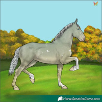 Horse Color:White Spotted Silver Perlino Tobiano 