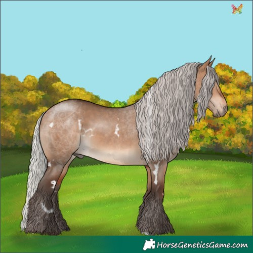 Horse Color:White Spotted Silver Brown Dun 