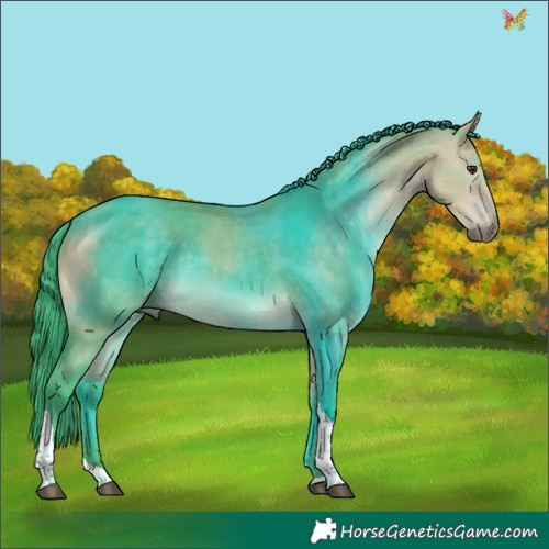 Horse Color:Watercolor Buckskin Dun Tobiano 