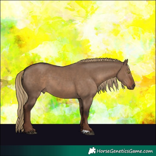 Horse Color:Liver Red Dun 