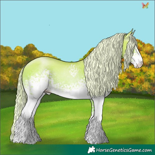 Horse Color:White Spotted Palomino Pearl 