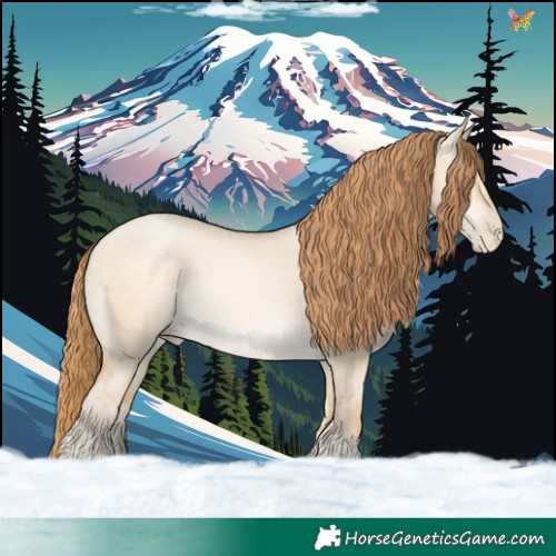 Horse Color:Buckskin Pearl Dun 