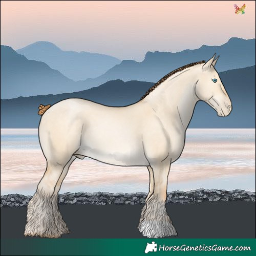 Horse Color:Buckskin Pearl Dun 