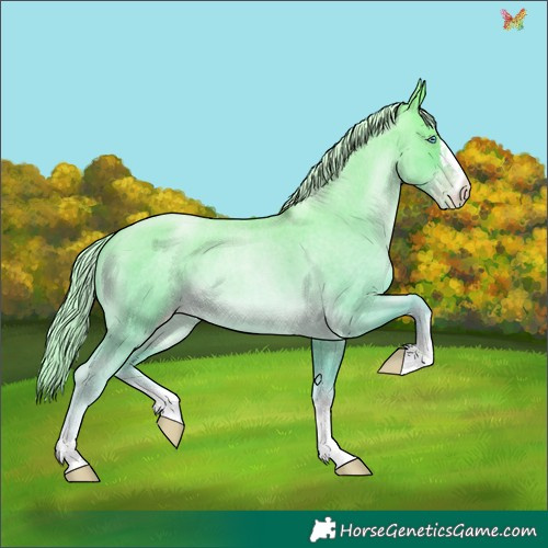 Horse Color:Gold Cream Champagne Roan Pearl 