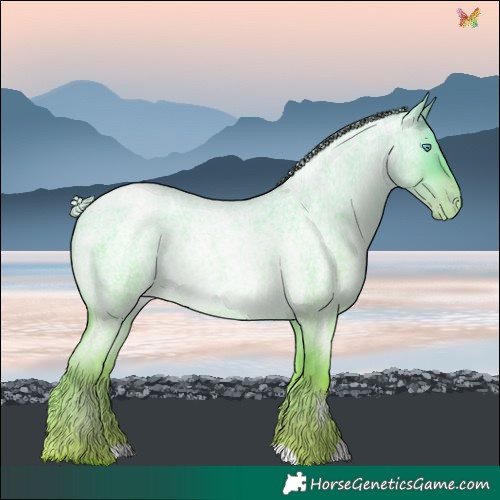 Horse Color:Silver Buckskin Roan Pearl Dun 