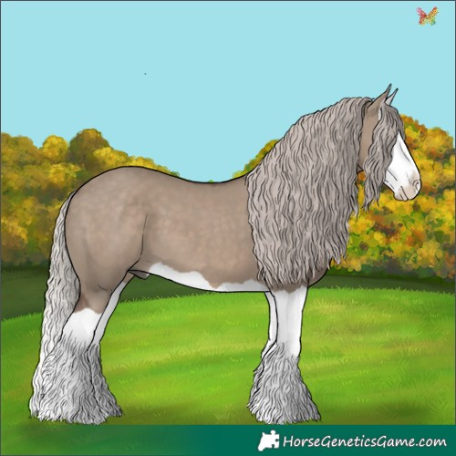 Horse Color:Silver Grullo Splash 